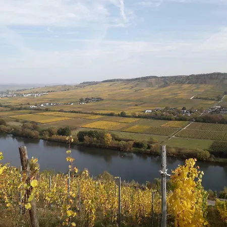 Weingut Johanneshof Minheim