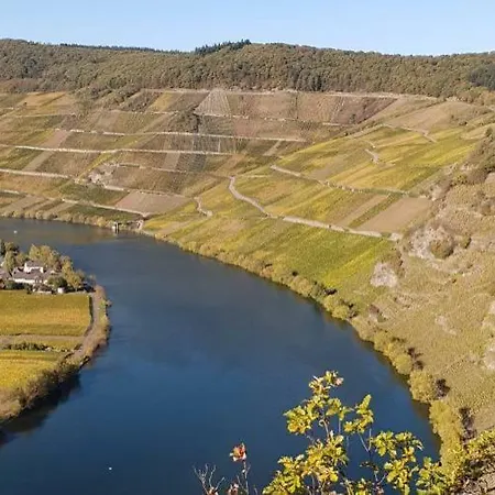Weingut Johanneshof Minheim