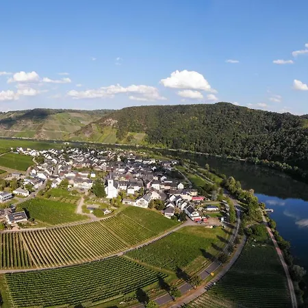Weingut Johanneshof Minheim
