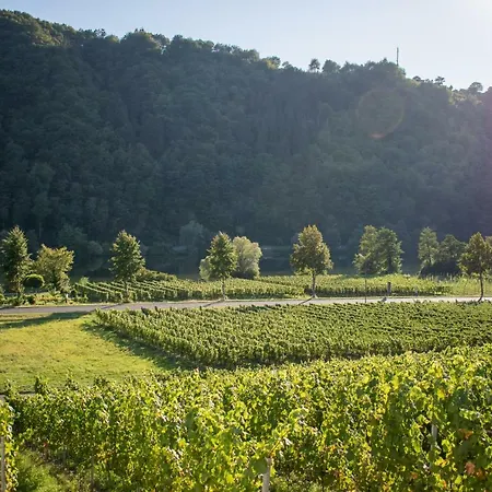Weingut Johanneshof Minheim
