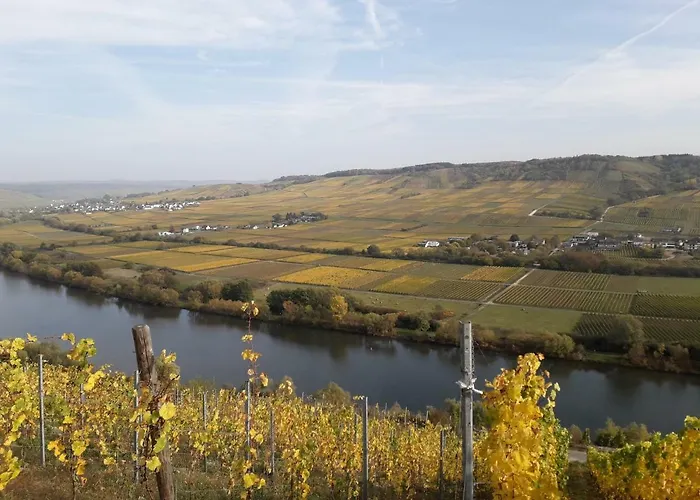 Weingut Johanneshof Minheim