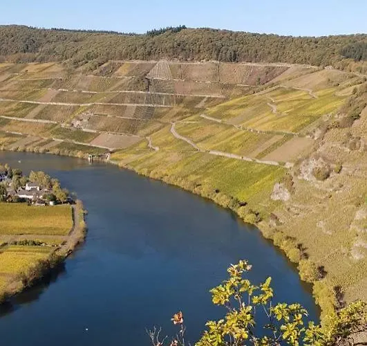Weingut Johanneshof Minheim