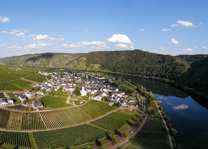 Weingut Johanneshof Minheim