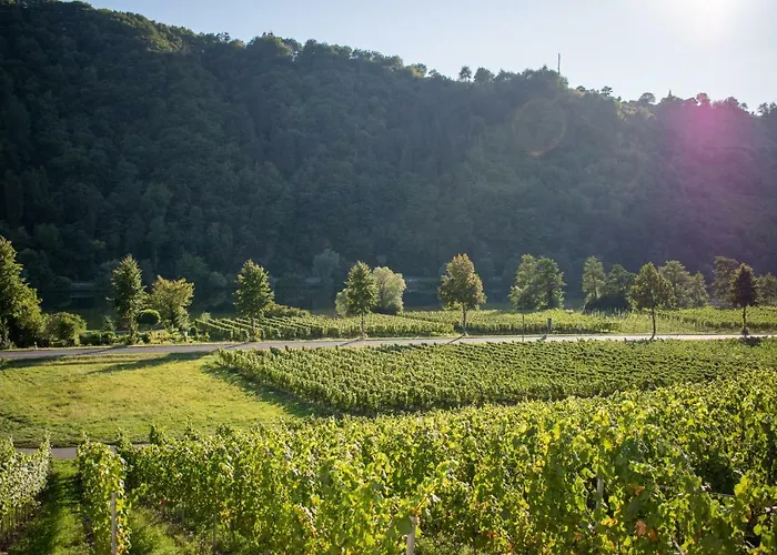 Weingut Johanneshof Minheim